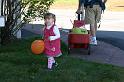 Picture 9648
